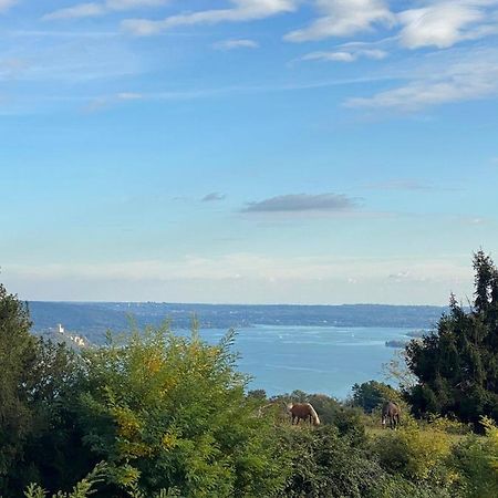 La Garconnierre Del Lago Maggiore Nebbiuno Bagian luar foto