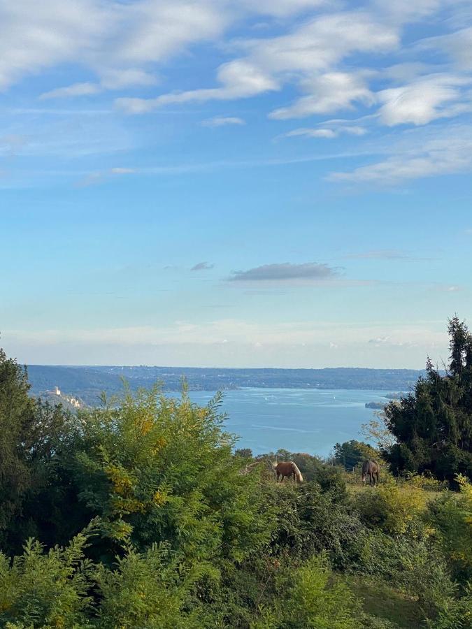 La Garconnierre Del Lago Maggiore Nebbiuno Bagian luar foto